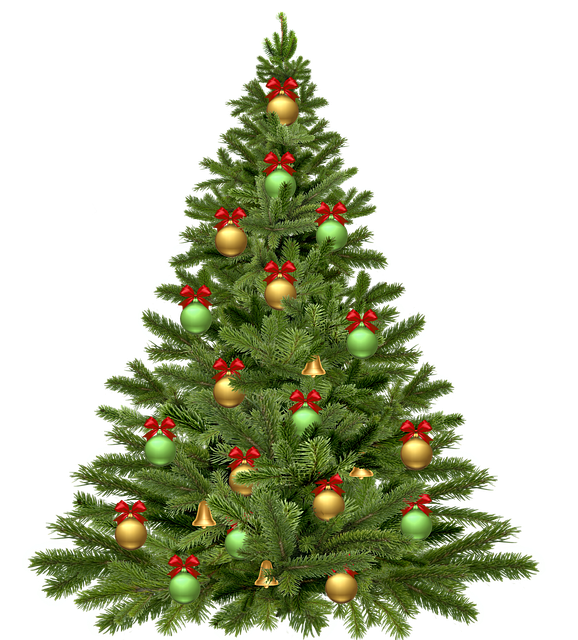 christmas-tree-1808558_640