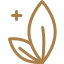 holistic-healer-icon-9-4